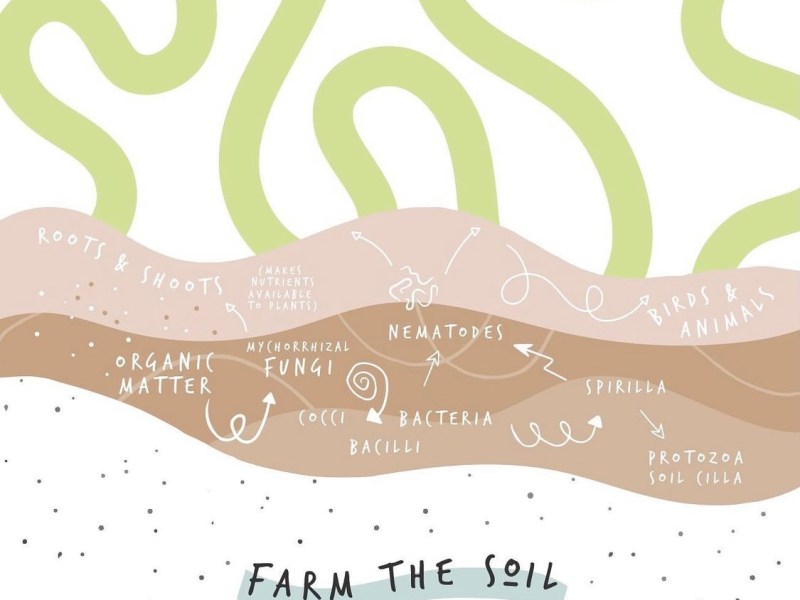 Our future depends on&nbsp;soil