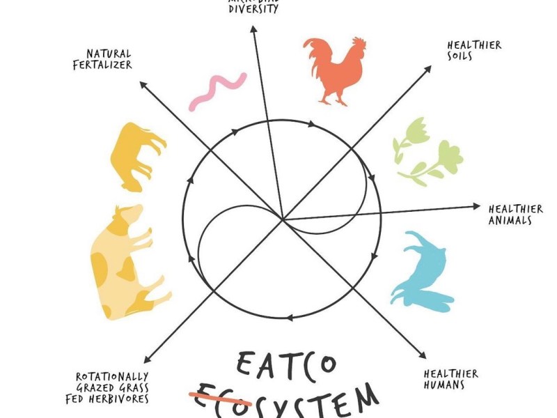 Eatcosystem