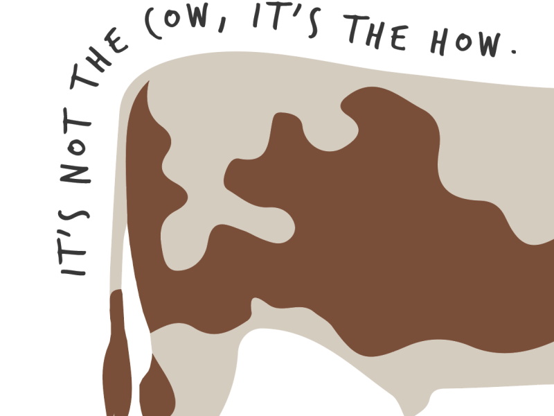 How is it not the&nbsp;cow?